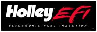 Holley EFI - 522-121 Holley EFI KIT- FUEL INJECTOR 120 PPH, SINGLE